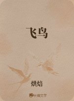 飞鸟